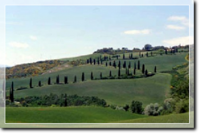 Valdorcia - La Foce (particolare)